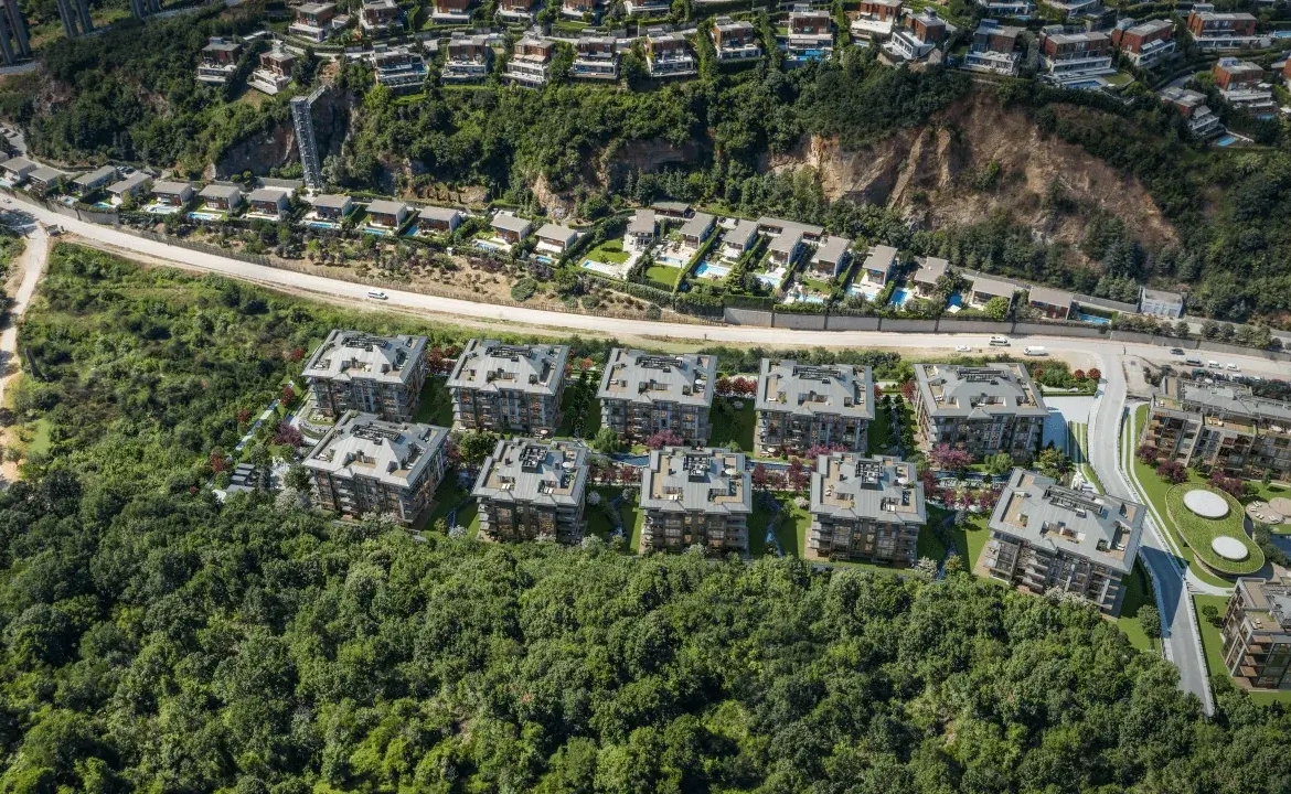 Mesa Orman