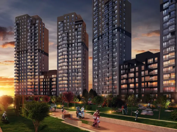 دي كي واي كارتال